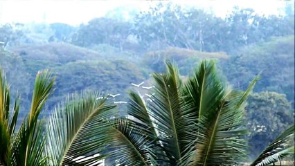 Bagalyanchi Mal Phule Dr.Vasantrao Deshpande,Amitabh Bachhan Rekha Rajesh Khanna Sharmila Tagor Ms Manjiri Oak,Rushikesh Ranade And Shankar Mahadevan