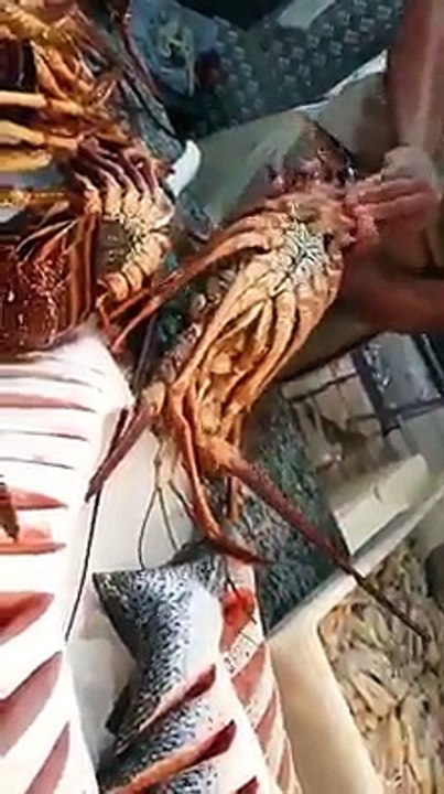 วิธีการแกะกุ้งล็อบเตอร์