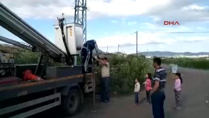 Erzurum Yuvadan Düşen Yavru Leylekler Kurtarıldı