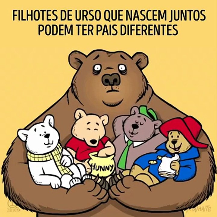 Fatos que você não sabe