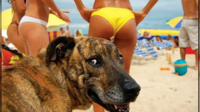 40 EMBARRASSING MOMENTS COMPILATION BEACH FAILS PHOTOS TAKEN AT THE RIGHT MOMENT