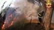 Italian Firefighters Tackle Sicilian Blaze