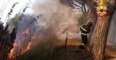 Italian Firefighters Tackle Sicilian Blaze