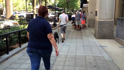 No More Leash Pulling Downtown