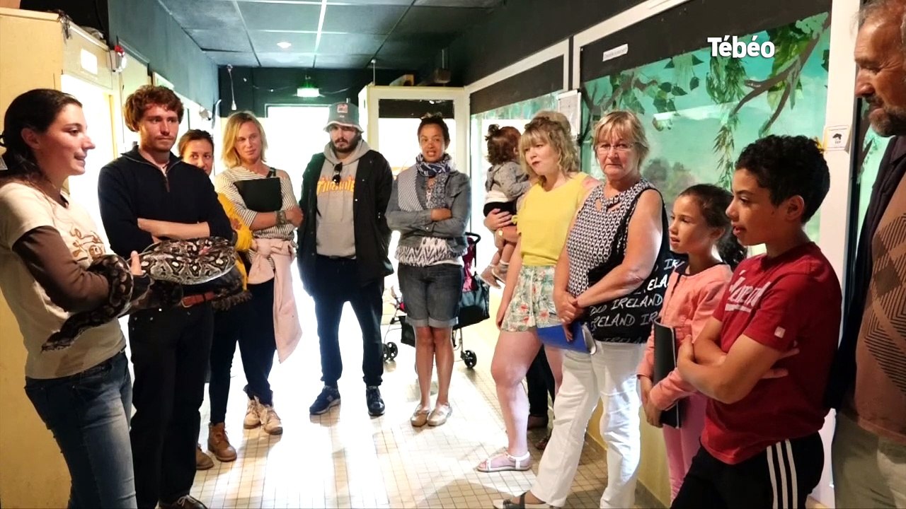 Plouagat (22). Terrarium de Kerdanet : le paradis des reptiles et des tortues