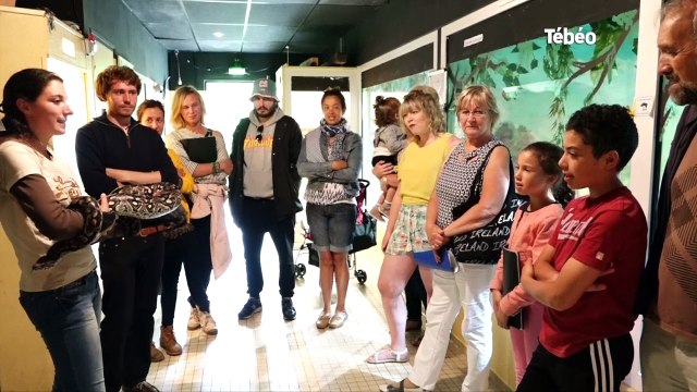 Plouagat (22). Terrarium de Kerdanet : le paradis des reptiles et des tortues