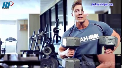 Hướng dẫn tập gym cơ bản tất cả các nhóm cơ - Sport Online