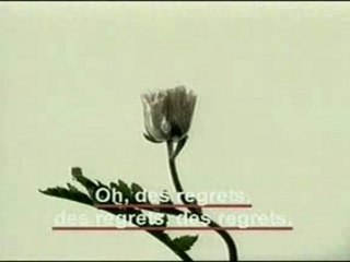 Alain Souchon - «Les regrets