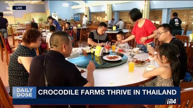 DAILY DOSE | Holocaust survivor raps for refugees | Thursday, July 13th 2017