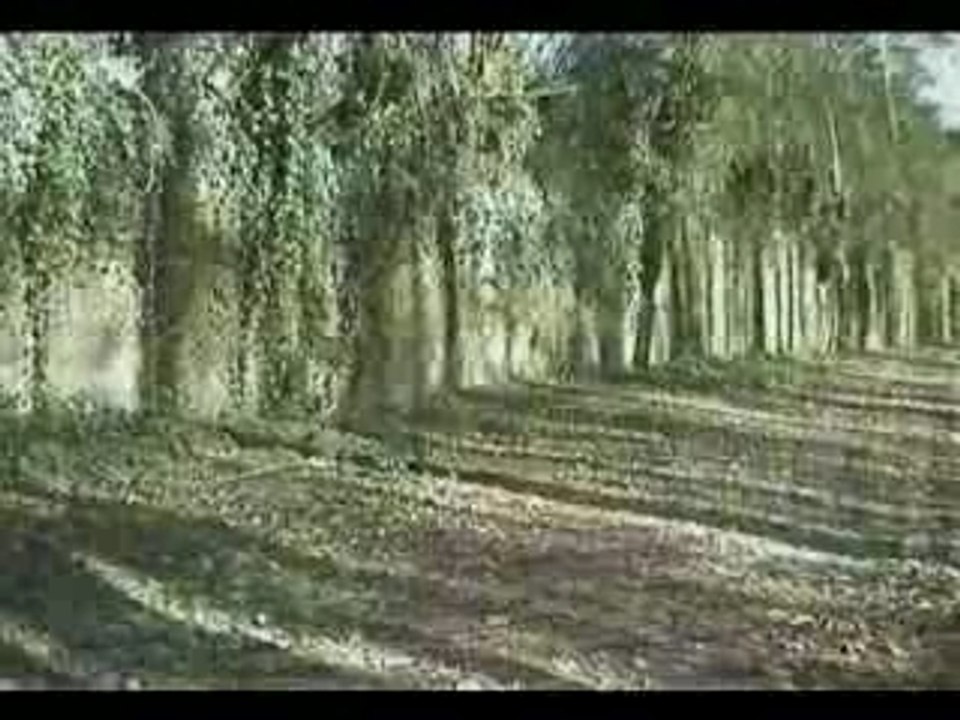 Ah! quand reviendra-t-il le temps, bergère?