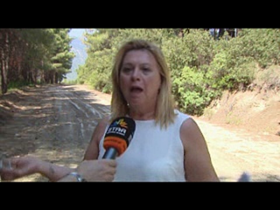 Εκτεταμένο δίκτυο καθαρισμού αντιπυρικών ζωνών...