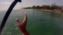 Paddle boarder has close encounter with great white