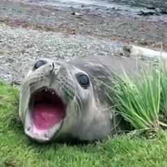 Tag a mate and say nothing.