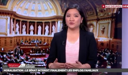 Moralisation : le Sénat interdit finalement les emplois familiaux - Les matins du Sénat (13/07/2017)