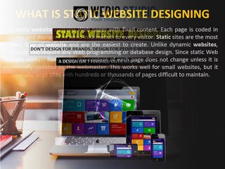 Static Website Designing Company
