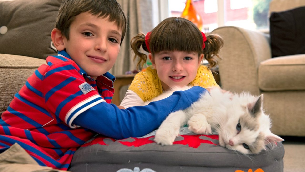 Topsy and Tim -  Lost Cat