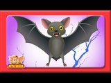 Vatvaghul (Bat) Animal Rhyme | Marathi Rhymes from Appuseries