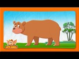 Aswal (Bear) Animal Rhyme | Marathi Rhymes from Appuseries