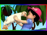 Mary Had A Little Lamb Nursery Rhyme in 4K | Marathi Rhymes From APPUSERIES