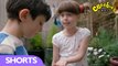 Topsy and Tim -  Growing Sunflowers
