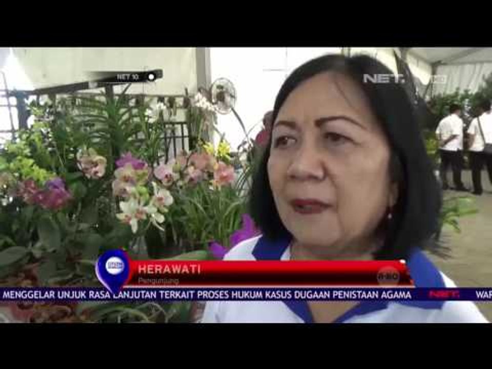 Pameran Bunga Anggrek Nusantara - NET 10
