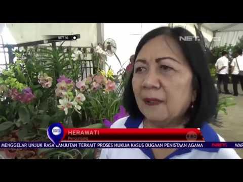 Pameran Bunga Anggrek Nusantara - NET 10