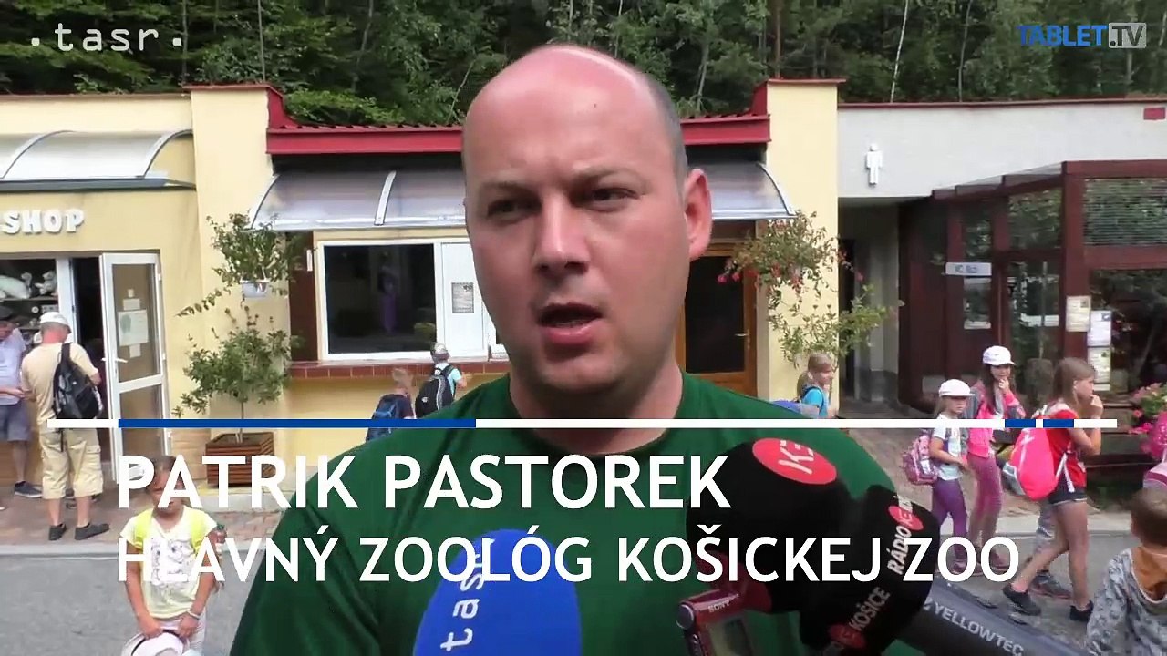 KOŠICE: Meraním a vážením plazov v zoo zisťovali ich kondíciu