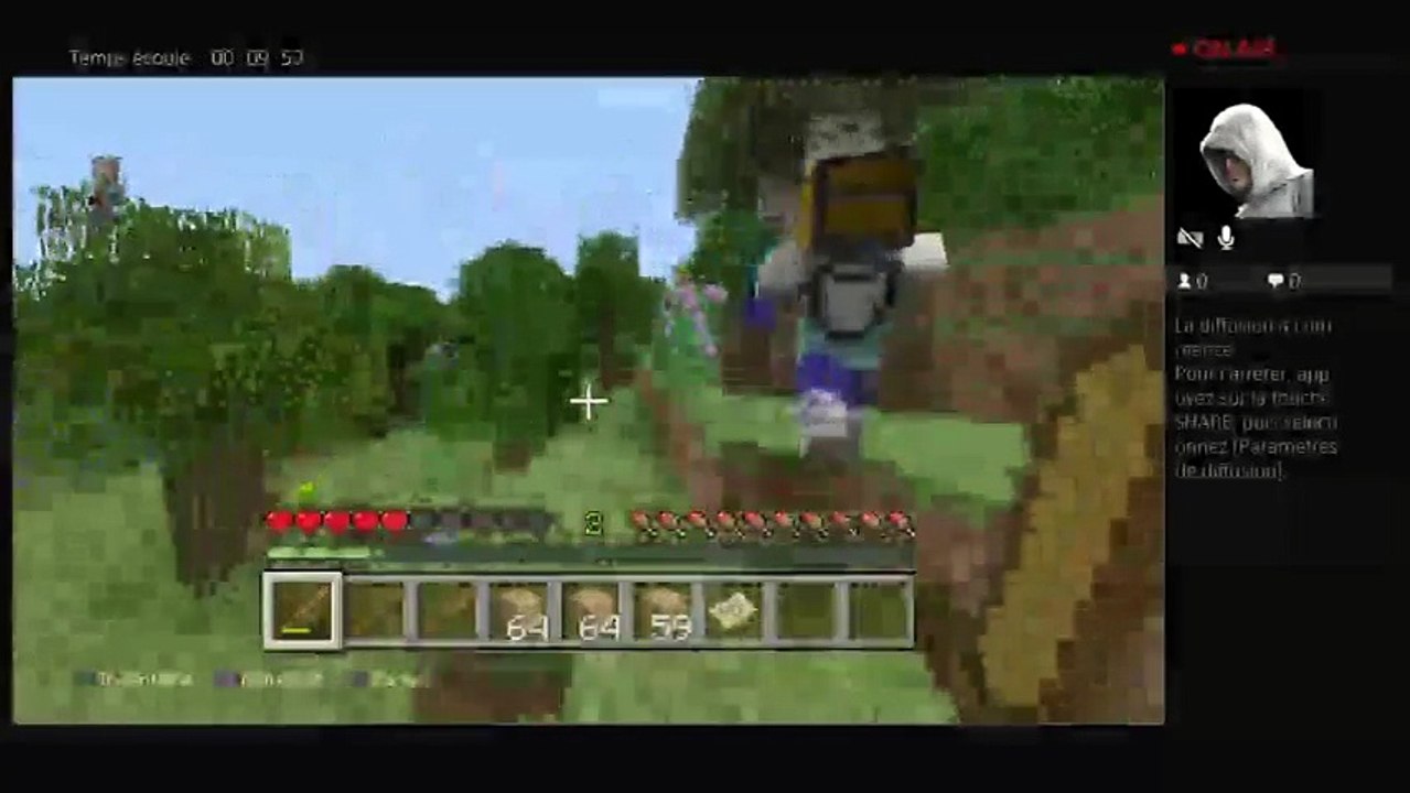 Minecraft:Survie solo (5)