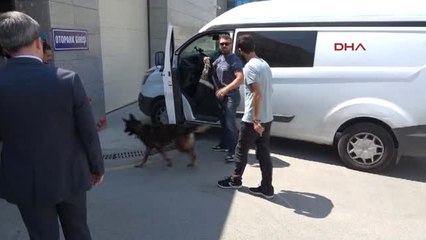 Anadolu Adalet Sarayı'nda Polisi Alarma Geçiren Ihbar