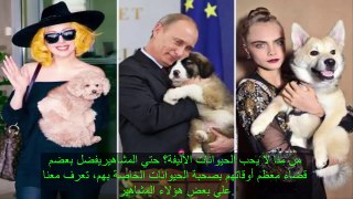 نجوم في صور مع حيواناتهم الأليفة  Star Pictures with their pets