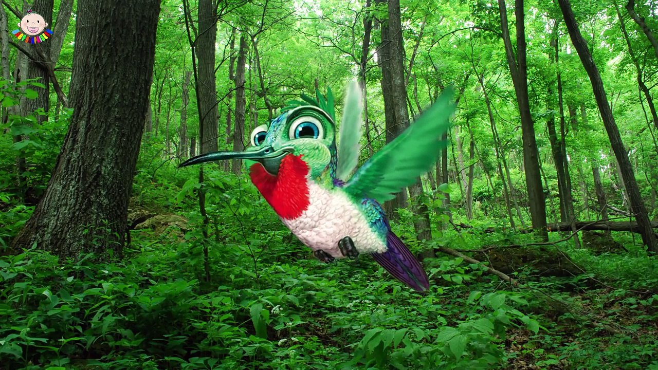Learning Birds Animals Name And Sound For Children - Real and Cartoon Animals