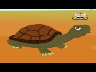 Panchatantra Tales in Sindhi - The Talkative Tortoise