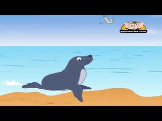 Animal Sounds in Marathi - Seal