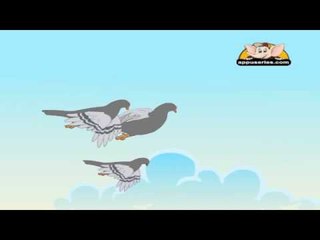 Animal Sounds in Marathi - Pigeon