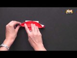 Origami in Marathi - Learn to make Simple Winged Heart
