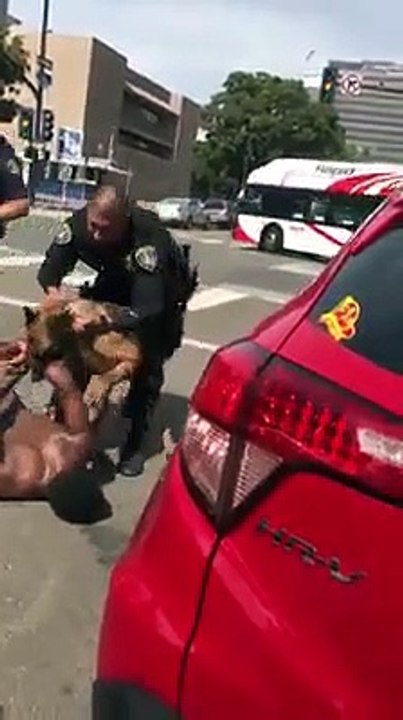 Un chien de police attaque violemment un homme au menotté au sol aux États-Unis