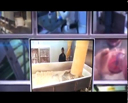 UD Crops provide and supply dehydrated onions, dehydrated garlic, and garlic powder