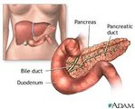 Remedio natural pancreas,higado,riñones