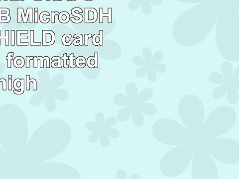 Professional Ultra SanDisk 32GB MicroSDHC Nvidia SHIELD card is custom formatted for high