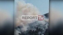 Report TV - Berat, përfshihen nga zjarri mbi 3 ha me pisha