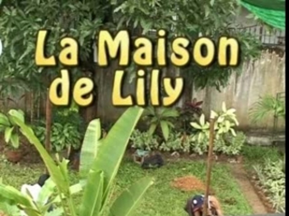 Maisonlily