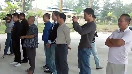 Watch the dogs discipline the army and the soldiers