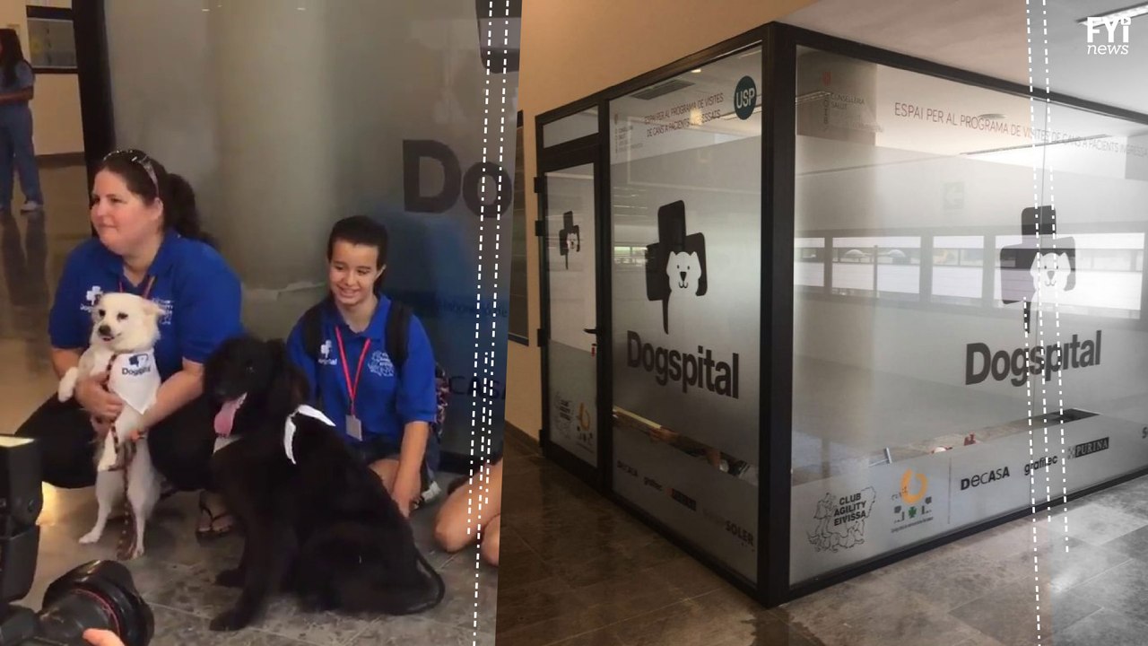Everyone Needs a Dogspital