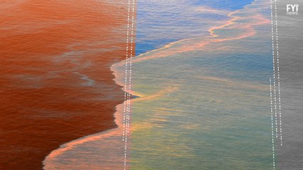 Why You Should Care About Hypoxic Zones