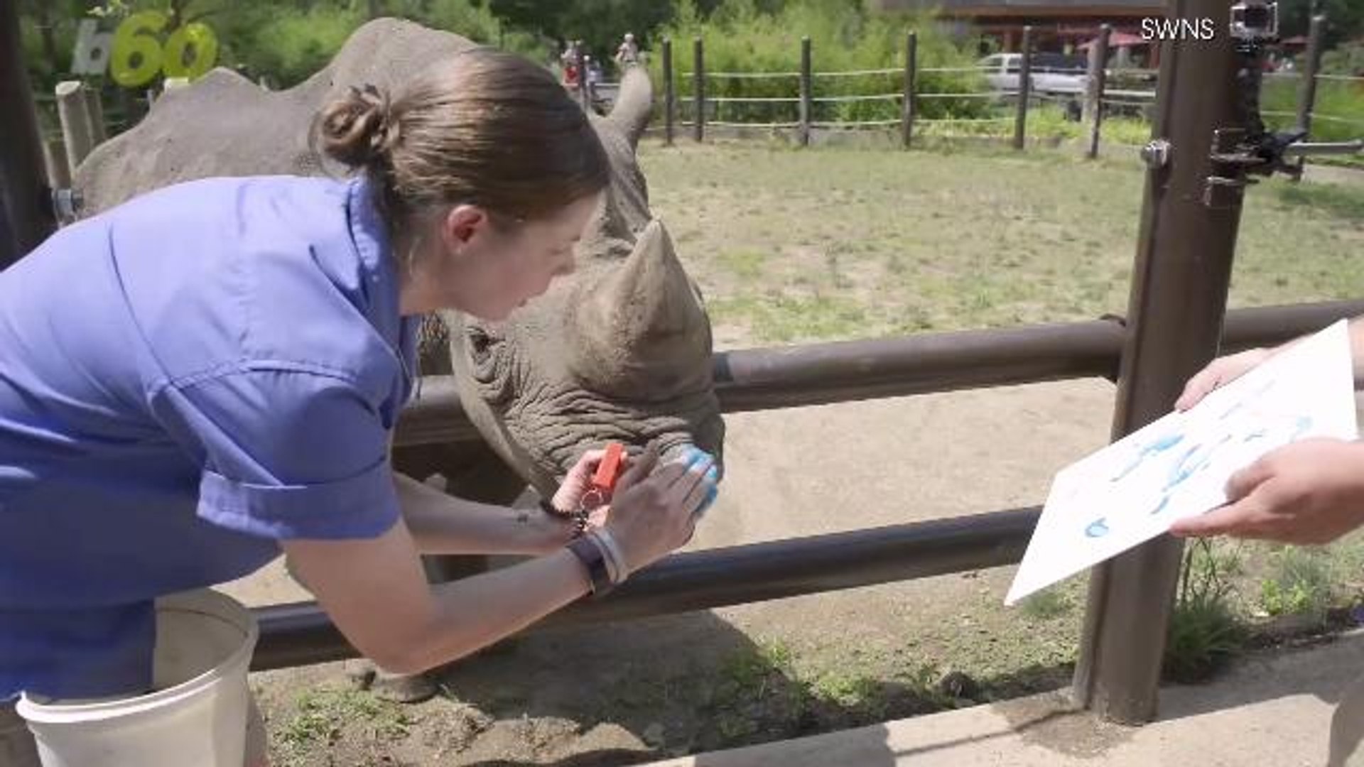 ⁣Endangered Rhino Raises Money By Painting Abstract Art