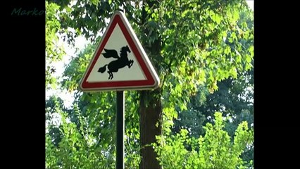 75 Worlds Funniest Signs of All Time