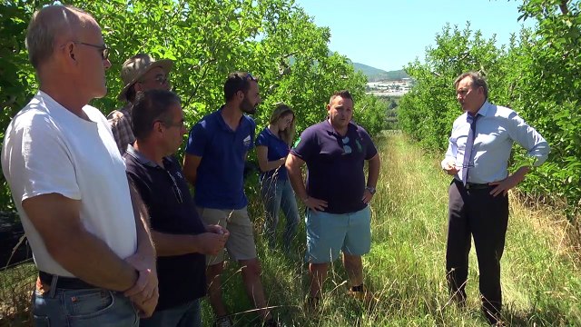 Alpes de Haute-Provence : pas moins de 50 exploitations touchées par les gelées noires