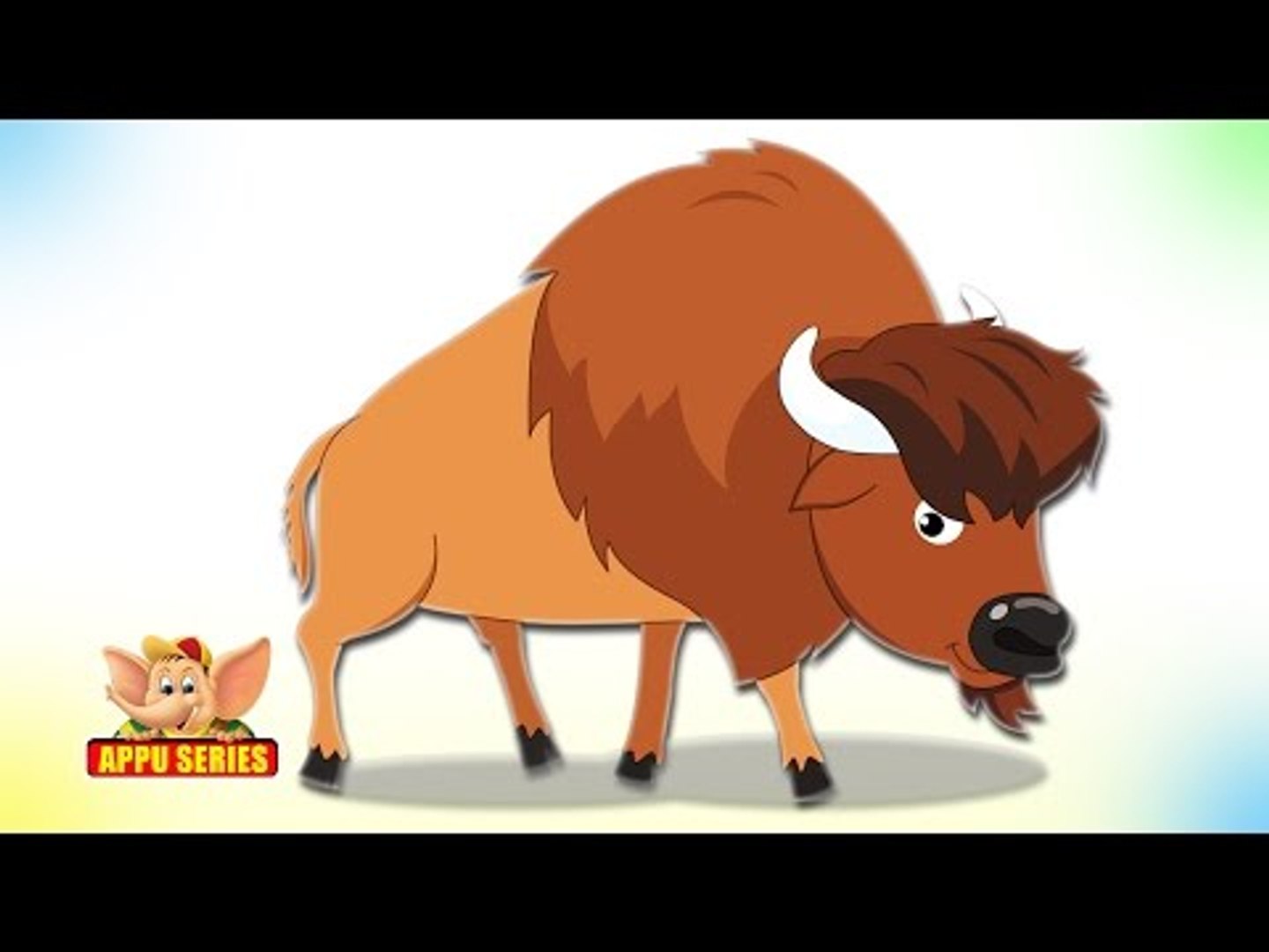Bison - Animal Rhymes in Ultra HD (4K)