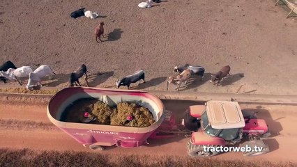 Besi çiftliği dediğin böyle olacak