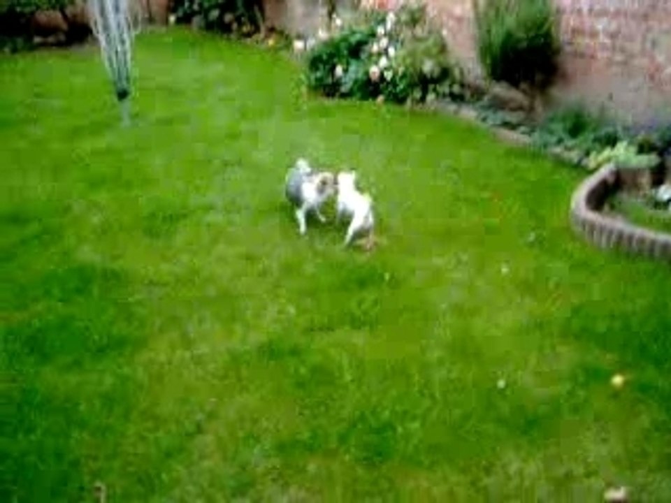 Malo et Billy jouent au jardin